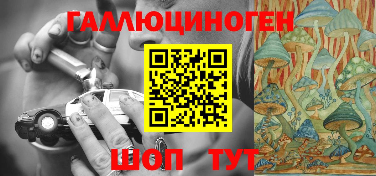 Барнаул  Псилоцибиновые грибы Psilocybe  Вход с VPN 